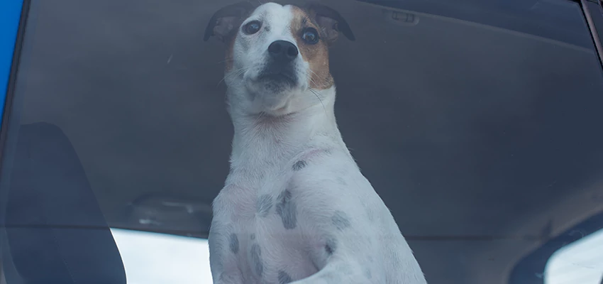 Car Lockout Solutions in Sausalito, California